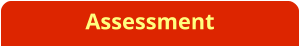 Assessment
